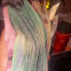 Meet your Posher, Robbie